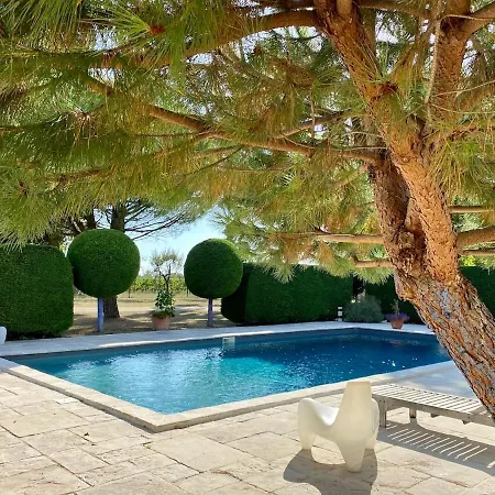 Chateau Gigault * Mazion